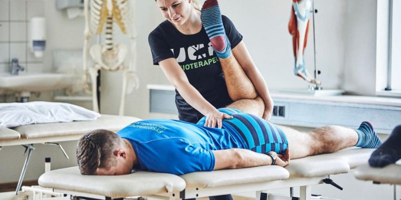 Physiotherapists