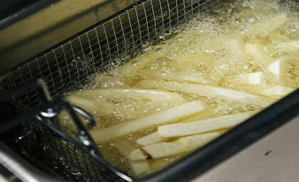 Fryer Tips
