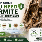 Termite Treatment in Darwin