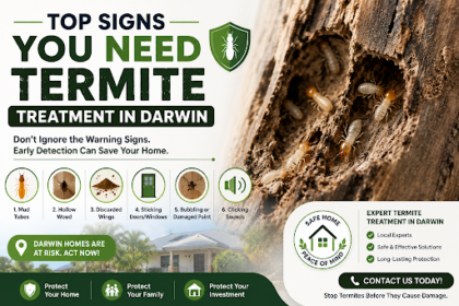 Termite Treatment in Darwin