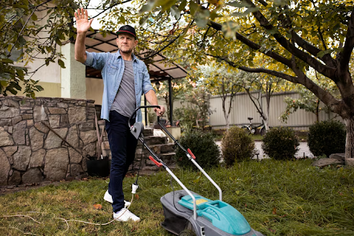 Lawn Dethatching Mistakes Darwin